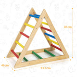 HONEY JOY Triangle Climber, Wooden Climbing Ladder Play Equipment for Kids